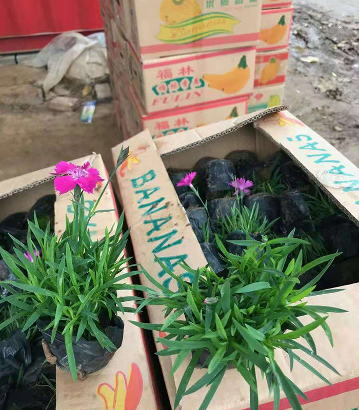 發貨現場